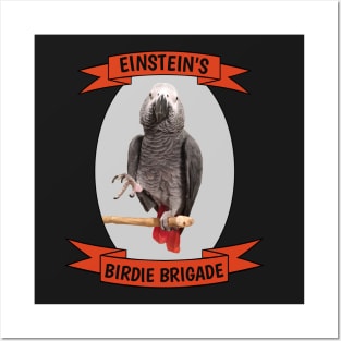 Birdie Brigade African Grey Parrot Posters and Art
